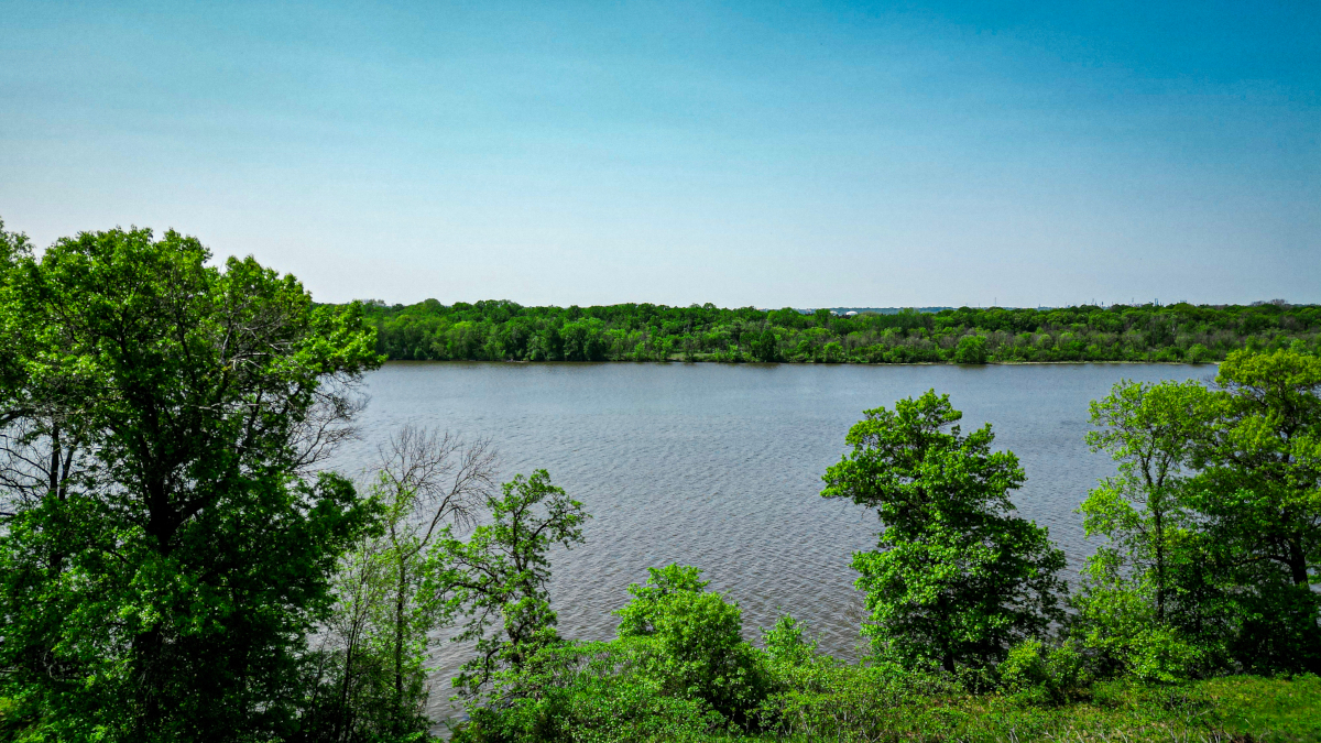 Mississippi Landing (5)